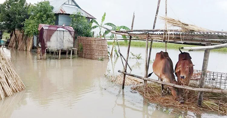 বন্যায় ক্ষতিগ্রস্তদের পুনর্বাসনে সহযোগিতা করবে দাতা সংস্থাগুলো