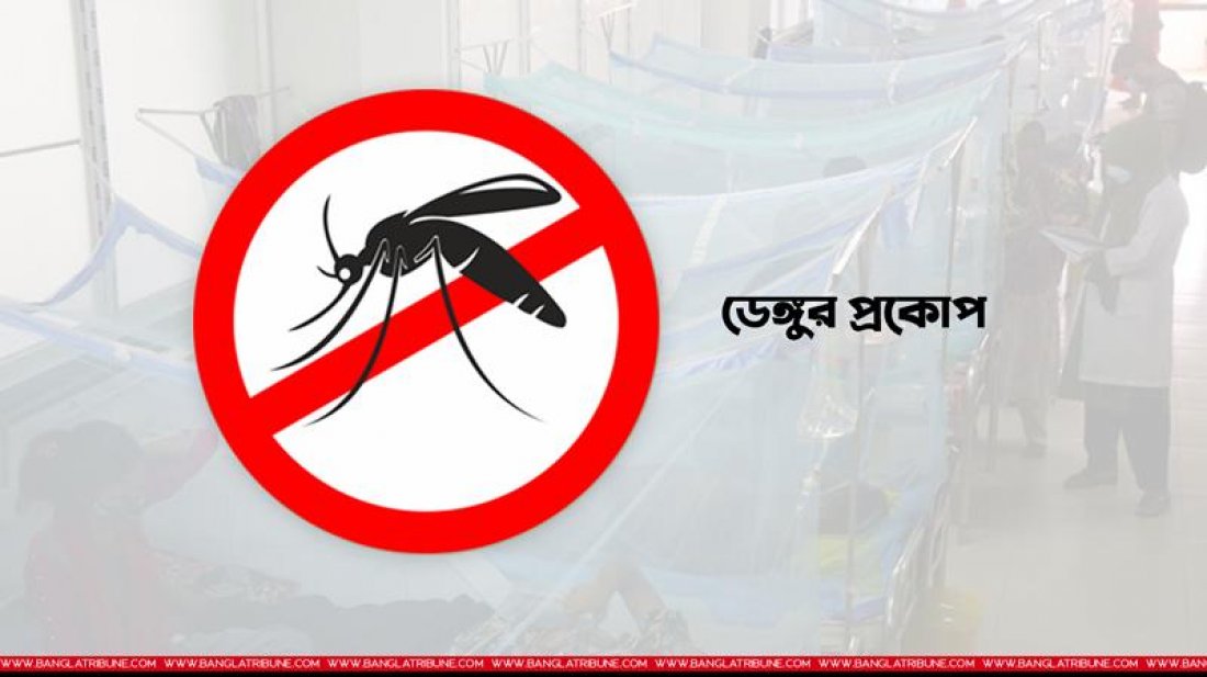 ডেঙ্গু নিয়ে হাসপাতালে আরও ২৯৪ জন